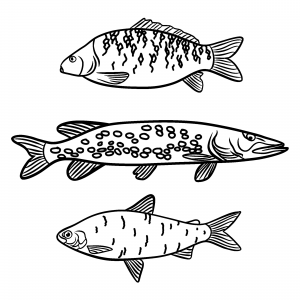 Textilien Motiv "Fische"