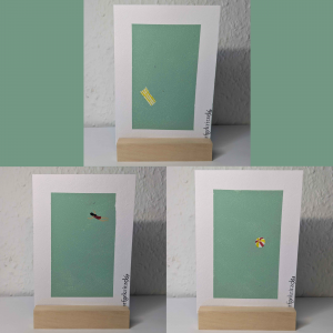 Postkarte Pool